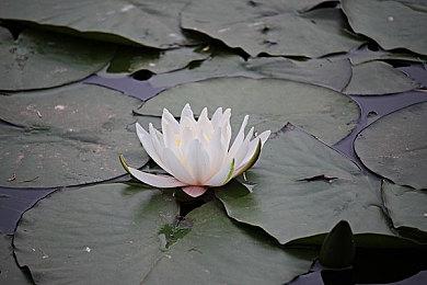 外媒评2023年画面最好的15款游戏 《生化危机4RE》等